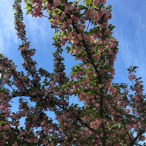 Meet your Posher, Tamara